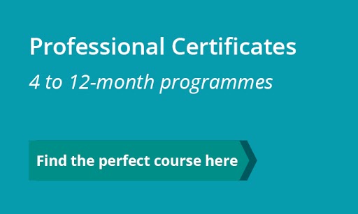 professional